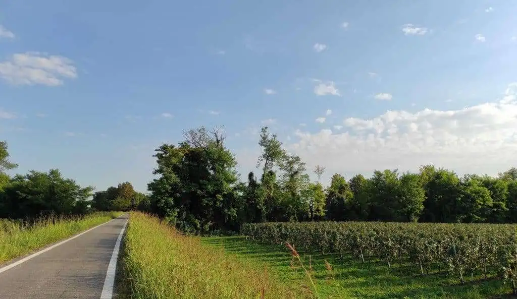 Vista itinerario strada dei vini del Piave a Ponte di Piave