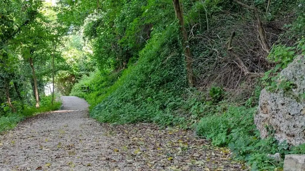Il Cammino della porta del soccorso a Conegliano